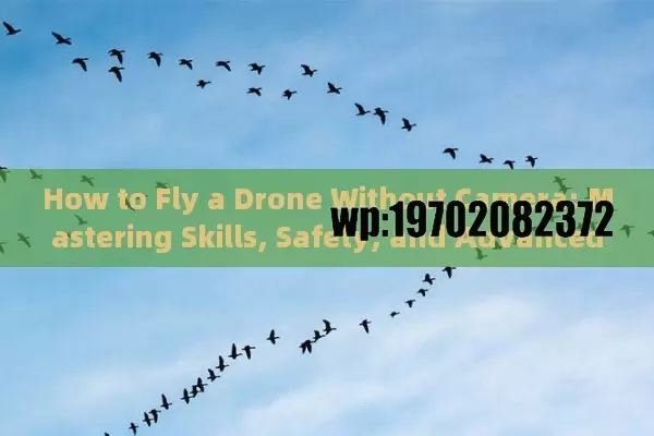 How to Fly a Drone Without Camera: Mastering Skills, Safety, and Advanced Maneuvers