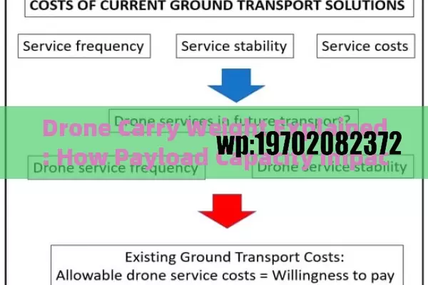 Drone Carry Weight Explained: How Payload Capacity Impacts Drone Applications